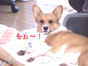 炟`