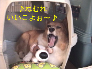 ˂ނȂłィ```II