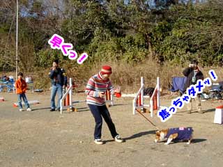 Rbv[