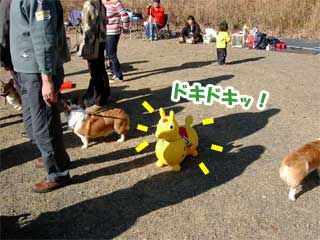 oԂ҂fB