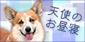 VĝQ +R[M[ƕ炷X+