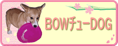 anvイǂyEŁz