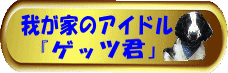 䂪Ƃ̃ACh@QbcN
