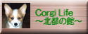 Corgi Life`ks̊ف`