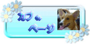WR|M|iJuj̃y|W