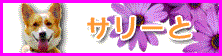 T[ƃ`bs[̂U