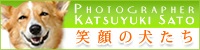 Ί̌@Photographer V