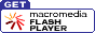 Get FLASH PLAYER