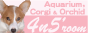 STf@