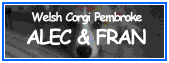 Welsh Corgi Pembroke ALEC & FRAN