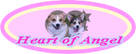 Heart of Angel