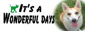 It's a Wonderful days Y̕