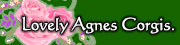 LOVELY AGNES CORGIS