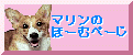 }̂ف[ނ؁[
