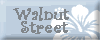 Walnut Street