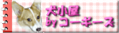 byR[M[Y