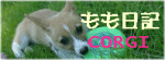 もも日記