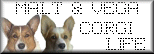 gFK̃R[M[k