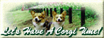 Let's Have A Corgi Time !