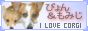I LOVE CORGI ҂񁕂݂