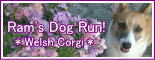 Ram's Dog Run!」