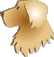 TOUTOU