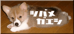ツバメガエシ