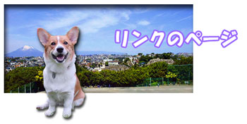LINK PAGE