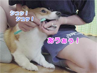 n~KL̂P