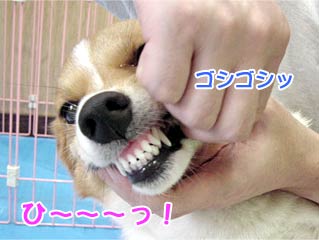 n~KL̂Q