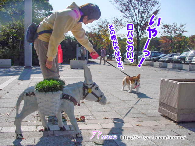 モモちゃん日記!