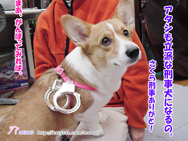 モモちゃん日記!