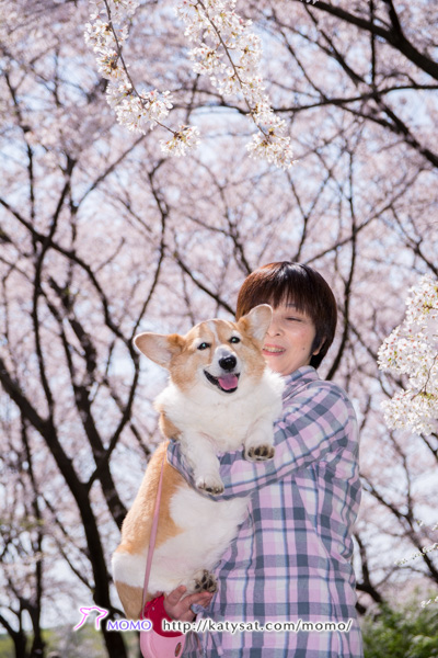 モモちゃん日記! モモちゃん日記!
