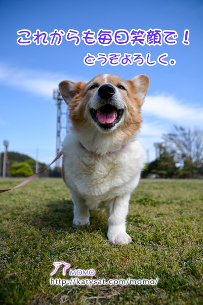 モモちゃん日記! モモちゃん日記!