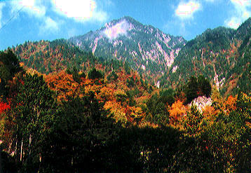 view3