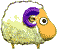poo