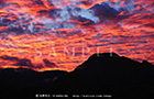 PS_024_D3R_2286