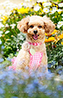 PEM_004_DSC_6759