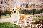 PEM_007_D3R_6846