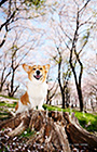 PEM_012_D3R_2784