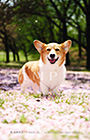 PEM_017_D3R_4578