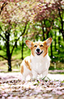 PEM_019_D3R_4787