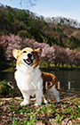 PEM_021_D3R_5782