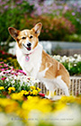 PEM_029_D3R_8401
