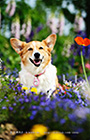 PEM_030_D3R_8416