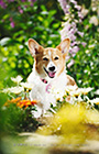 PEM_031_D3R_8432