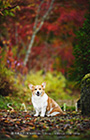 PEM_032_D3R_2549