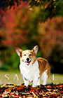 PEM_033_D3R_2781