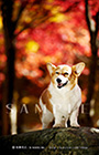 PEM_035_D3R_3323
