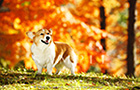 PEM_036_D3R_3388